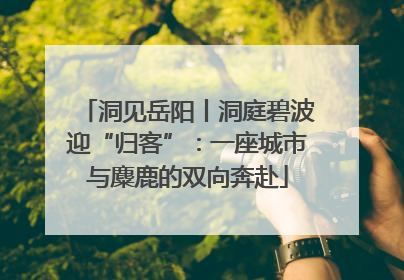 洞见岳阳丨洞庭碧波迎“归客”：一座城市与麋鹿的双向奔赴