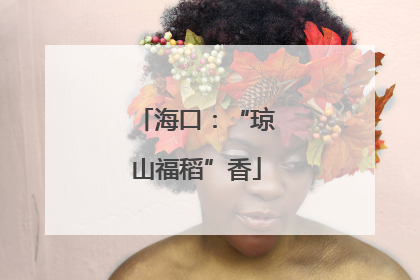 海口：“琼山福稻”香