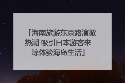海南旅游东京路演掀热潮 吸引日本游客来琼体验海岛生活