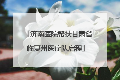 济南医院帮扶甘肃省临夏州医疗队启程