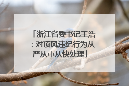 浙江省委书记王浩：对顶风违纪行为从严从重从快处理