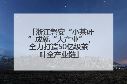 浙江磐安“小茶叶”成就“大产业”，全力打造50亿级茶叶全产业链