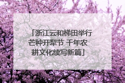 浙江云和梯田举行芒种开犁节 千年农耕文化续写新篇