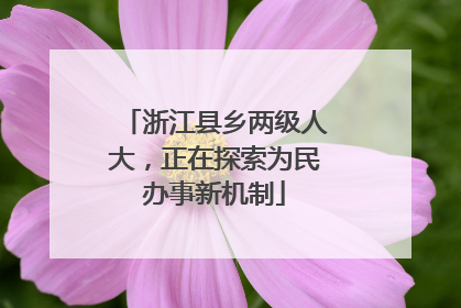 浙江县乡两级人大，正在探索为民办事新机制