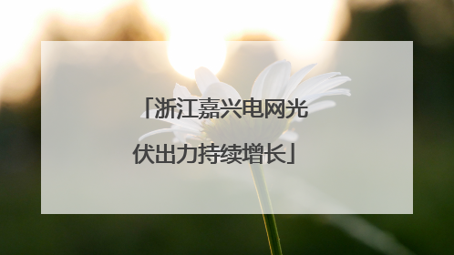 浙江嘉兴电网光伏出力持续增长