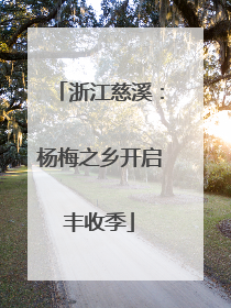 浙江慈溪：杨梅之乡开启丰收季