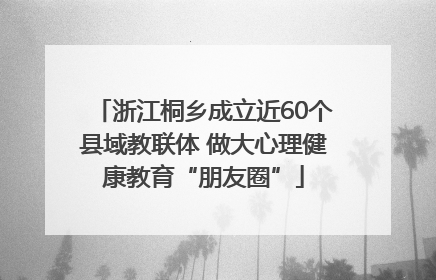 浙江桐乡成立近60个县域教联体 做大心理健康教育“朋友圈”