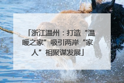 浙江温州：打造“温暖之家”吸引两岸“家人”相聚谋发展