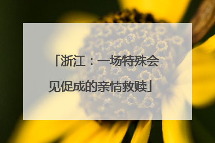 浙江：一场特殊会见促成的亲情救赎