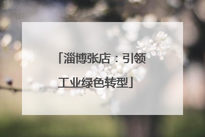 淄博张店：引领工业绿色转型