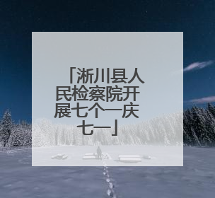 淅川县人民检察院开展七个一庆七一