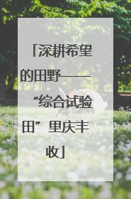 深耕希望的田野——“综合试验田”里庆丰收