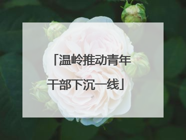 温岭推动青年干部下沉一线