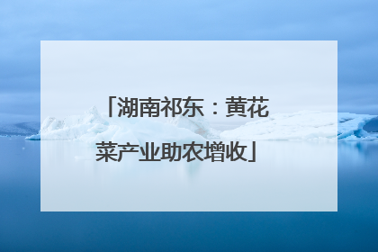湖南祁东：黄花菜产业助农增收