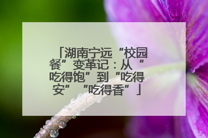 湖南宁远“校园餐”变革记：从“吃得饱”到“吃得安”“吃得香”