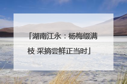 湖南江永：杨梅缀满枝 采摘尝鲜正当时