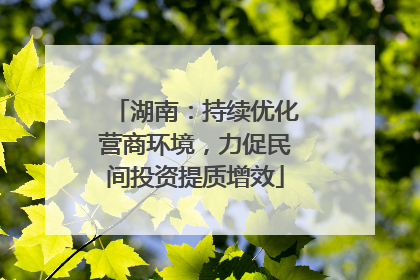 湖南：持续优化营商环境，力促民间投资提质增效
