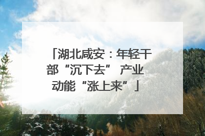 湖北咸安：年轻干部“沉下去” 产业动能“涨上来”