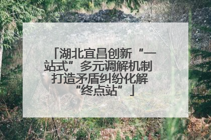 湖北宜昌创新“一站式”多元调解机制 打造矛盾纠纷化解“终点站”