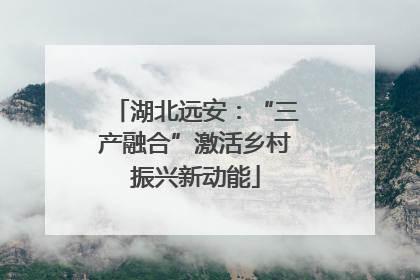 湖北远安：“三产融合”激活乡村振兴新动能