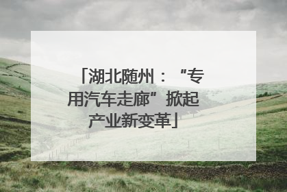 湖北随州：“专用汽车走廊”掀起产业新变革