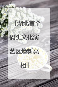 湖北首个码头文化演艺区焕新亮相