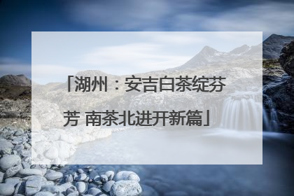 湖州：安吉白茶绽芬芳 南茶北进开新篇