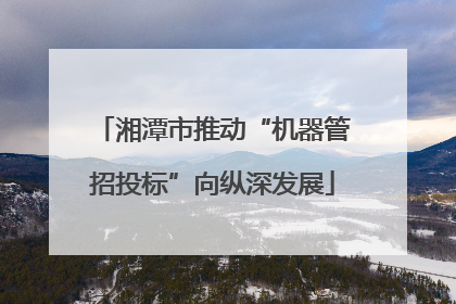 湘潭市推动“机器管招投标”向纵深发展