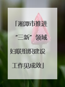 湘潭市推进“三新”领域妇联组织建设工作见成效