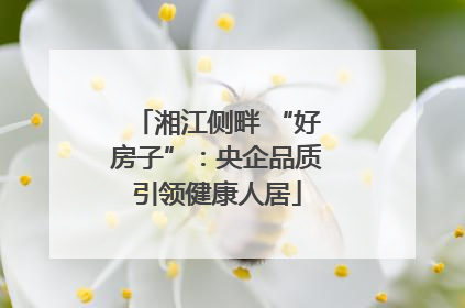 湘江侧畔 “好房子”：央企品质引领健康人居