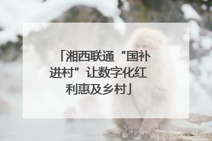 湘西联通“国补进村”让数字化红利惠及乡村