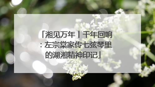 湘见万年丨千年回响：左宗棠家传七弦琴里的湖湘精神印记