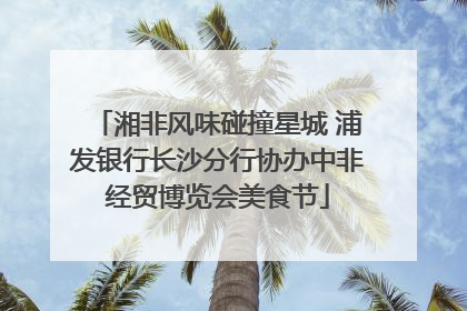 湘非风味碰撞星城 浦发银行长沙分行协办中非经贸博览会美食节