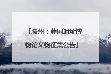 滕州：薛国遗址博物馆文物征集公告