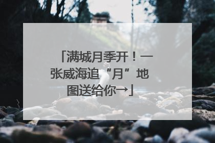 满城月季开！一张威海追“月”地图送给你→