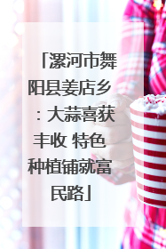 漯河市舞阳县姜店乡：大蒜喜获丰收 特色种植铺就富民路