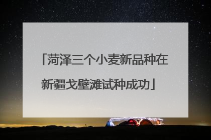 菏泽三个小麦新品种在新疆戈壁滩试种成功