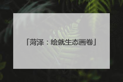 菏泽：绘就生态画卷