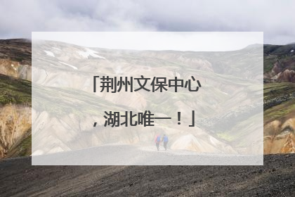 荆州文保中心，湖北唯一！
