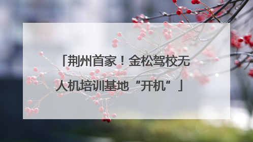 荆州首家！金松驾校无人机培训基地“开机”