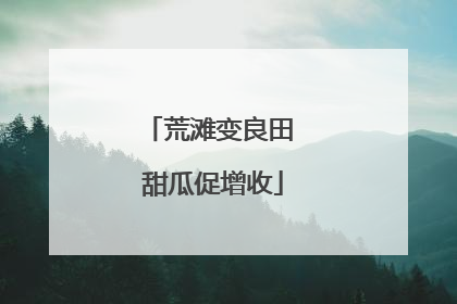 荒滩变良田 甜瓜促增收