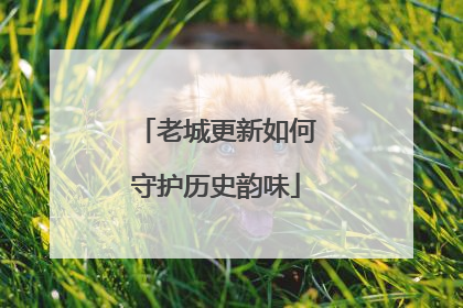 老城更新如何守护历史韵味