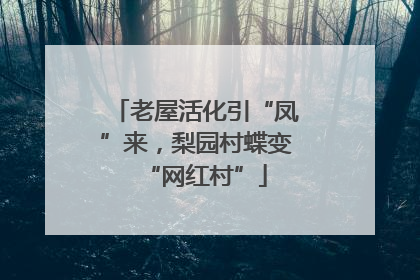 老屋活化引“凤”来，梨园村蝶变“网红村”