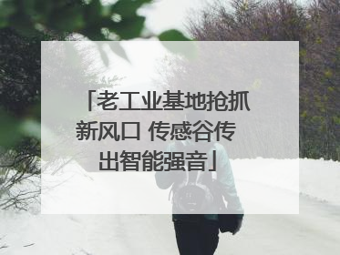 老工业基地抢抓新风口 传感谷传出智能强音