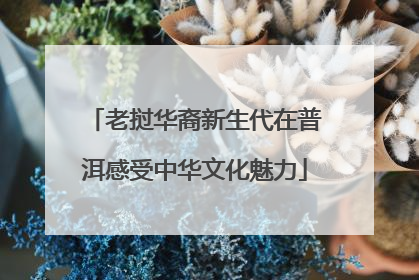 老挝华裔新生代在普洱感受中华文化魅力