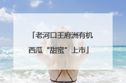 老河口王府洲有机西瓜“甜蜜”上市