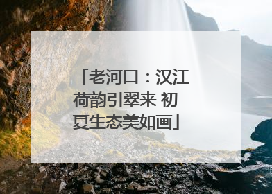 老河口：汉江荷韵引翠来 初夏生态美如画