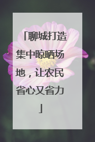 聊城打造集中晾晒场地，让农民省心又省力