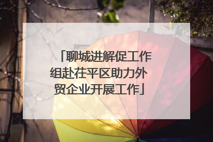 聊城进解促工作组赴茌平区助力外贸企业开展工作