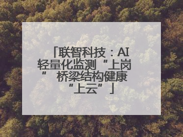 联智科技：AI轻量化监测“上岗” 桥梁结构健康“上云”